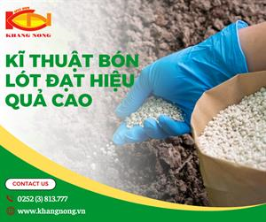 ​​​​​​​ KỸ THUẬT BÓN LÓT ĐẠT HIỆU QUẢ CAO 